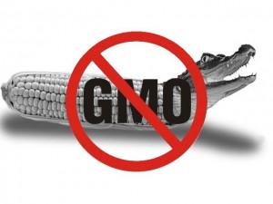 В России запретили производить ГМО