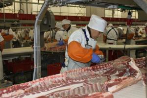 К осени в Белгородской области построят новый завод по переработке свинины